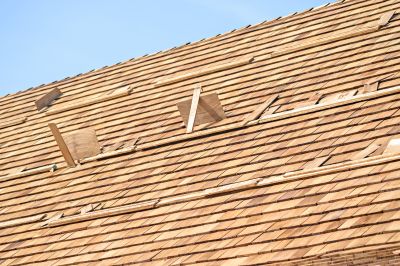 Roof Repair and Maintenance